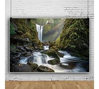 Ttincceer 250x180cm Canyon Landscape Backdrop Waterfall Stream Channel Photography Background Tropical RainForests Natural Landscape Photography Backdrop Photo Booth Prop