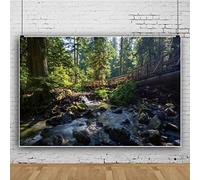 Ttincceer 300x250cm 3D Forests Backdrop Spring Summer Tropical Rainforests Natural Landscape Photography Background Stream Stone Giant Tree Adult Children Travel Background