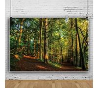 Ttincceer 300x250cm Early Morning Forests Backdrop Tropical RainForests Green Tree Dirt Road Photography Background Natural Landscape Background Adult Children Travel Shot Backdrops