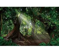 Ttincceer 300x250cm Forests Backdrop - Ancient Tree Early Morning Sunshine Tropical RainForests Natural Scenery Photography Props