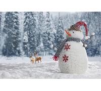 Ttincceer 4.5x3m Winter Snow Forest Backdrop Snow Falling Snowman Elk Christmas Eve Party Photography Background Snowfield Woderland New Year Festival Celebration Banner Studio Prop