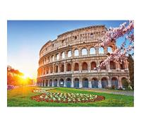 Ttincceer Ancient Roman Colosseum Backdrop for Photography 3x2m Abandoned Ancient European Shabby Architectural Background Retro Attractions Sunset Meadow Photography Backdrop