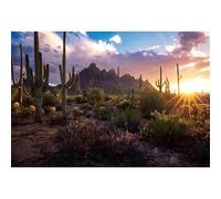 Ttincceer Desert Cactus Backdrop 3x2m Wild Giant Cactus Bushes Photography Background Sunset Blue Sky Cloud Mountain Background Cowboy Baby Shower Party Portrait Photo Booth Props