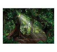 Ttincceer Forests Backdrop for Photography Ancient Tree Early Morning Sunshine Jungle Photography Background 3x2m Tropical RainForests Natural Scenery Backdrop Baby Shower Party Decoration Banner