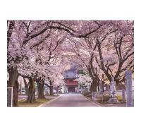 Ttincceer Japanese Backdrop 8x4ft Spring Cherry Blossom Forests Road Photography Background Retro Architecture Flowers Blooming Photography Backdrop Wedding Party Background