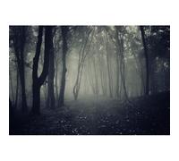 Ttincceer Misty Dark Forest Halloween Backdrop 10x8ft Scary Woods Gloomy Halloween Party Photography Background Portrait Magic Witch Wizard Sorcerer Ghost Themed Party Banner Decors Photo Props