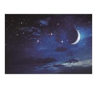 Ttincceer Starry Night Backdrop 10x8ft Bright Moon Stars Sparkling Photography Background Deep Blue Night Sky Stars Photography Backdrop Newborn Baby Shower Banner