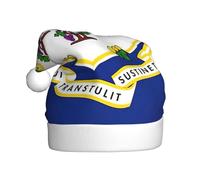 Ttjghdaa Connecticut State Flag Print Festive Santa Hat,Christmas Decorations,For Christmas,Halloween,Community Events
