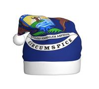 Ttjghdaa Michigan State Flag Print Festive Santa Hat,Christmas Decorations,For Christmas,Halloween,Community Events