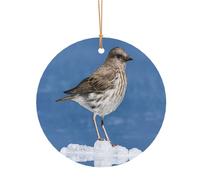 Ttkjshmgc Cute Penguin Print -Print Round Aluminum Pendants Bulk Custom Christmas Aluminum Ornaments For Diy Multi-Size Decorative Tags For Events Crafting. 10cm