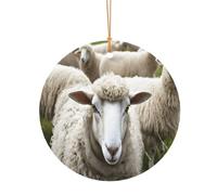 Ttkjshmgc Cute Sheep Lamb -Print Round Aluminum Pendants Bulk Custom Christmas Aluminum Ornaments For Diy Multi-Size Decorative Tags For Events Crafting. 8cm