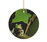 Ttkjshmgc Frog and Rain -Print Round Aluminum Pendants Bulk Custom Christmas Aluminum Ornaments For Diy Multi-Size Decorative Tags For Events Crafting. 8cm