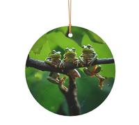Ttkjshmgc Funny Frogs -Print Round Aluminum Pendants Bulk Custom Christmas Aluminum Ornaments For Diy Multi-Size Decorative Tags For Events Crafting. 8cm