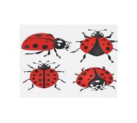 Ttkjshmgc Ladybugs Print Unframed Wall Art Canvas 30X40, Large Waterproof Print With High-Gloss Finish, For Living Room Bedroom, Modern Abstract Nature Design.