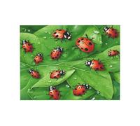 Ttkjshmgc Leaves and Ladybugs Print Unframed Wall Art Canvas 30X40, Large Waterproof Print With High-Gloss Finish, For Living Room Bedroom, Modern Abstract Nature Design.