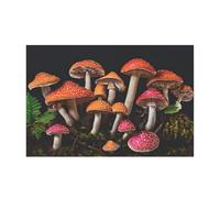 Ttkjshmgc Mushroom -Print Modern Unframed Wall Art Landscape Canvas Prints 2:3 Ratio For Living Room And Office Home Decor 16"x24"