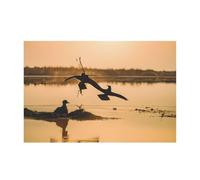 Ttkjshmgc Oil Painting Duck -Print Modern Unframed Wall Art Landscape Canvas Prints 2:3 Ratio For Living Room And Office Home Decor 16"x24"