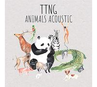 Ttng (This Town Needs Guns) - Animals Acoustic