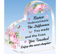 TTOVEN Never Underestimate the Difference Gifts Thank You Gifts for Women Leaving Gifts Plaque