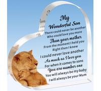 TTOVEN Son Gifts Son Plaque Son Birthday Gifts Graduation Gifts for Son Father's Day Gifts for Son My Wonderful Son Plaque
