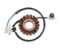 TTR250 Stator Coil Compatible with TTR250 Motorcycle Electromagnetic Coil Accessories