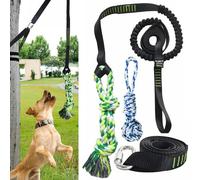 TUAHOO Outdoor Bungee Dog Solo Toy Hanging from Tree, Interactive Tether Tug of War Toy for Pitbull Small Middle Large Breed, Tree Tugger Pull Rope with 2 Dog Rope Toys