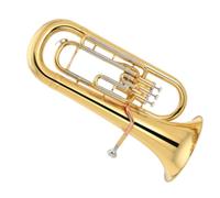 Tuba Professional Euphonium Practice Instrument For Beginners