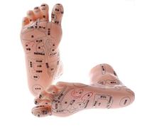 Tubayia 2 Pieces 19 cm Human Massage Feet Model Acupuncture Reflexology for School Teaching Supplies Collectibles
