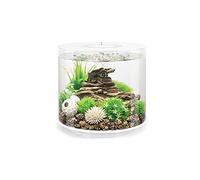OASE BIORB TUBE AQUARIUM FISH TANK MCR LED LIGHTING ALL IN ONE COMPLETE SETUP