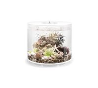 Tube 35 Aquarium with MCR Light - 9.2 Gallon, White