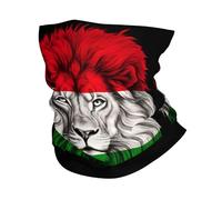 Tube Scarf Hungary Hungarians Lion Flag Novelty Neck Gaiter Balaclava Half Face Scarf Uv Protection Half Face Headwear For Skiing Tennis Fishing 25X50 CM