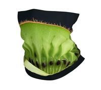 Tube Scarf Kiwi Slice Neck Gaiters Balaclava Novelty Neck Gaiter Windproof Magic Headband For Jogging Skiing Fishing 25X50 Cm