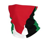 Tube Scarf Palestine Flag1 Print Half Face Scarf Uv Protection Half Face Headwear Dustproof Neck Gaiters For Skiing Hunting Fishing 25X50 Cm