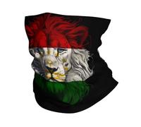 Tube Scarf Tajikistan Tajik Flag Lion Balaclava Decorative Bandana For Sports, Hunting, Traveling
