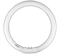 TUBE T5 CIRCULAR 22w WITH 4 PIN LOOKING INSIDE