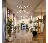 TubeSputnik Chandelier Fixture with 8 Led Tube,Ceiling Light Fixtures,Light Fixtures Mount,New Model Flush Mount Ceiling Light,Gold