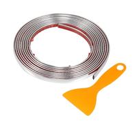 TUCKBOLD Car Truck Window Trim Strip 5/16" 8mm Width 10Ft 300cm Self Adhesive Scratch-Proof | Bumper Door Body Side Decorative Sticker Gloss Silver Tone 1 Set