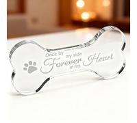 Tucnoeu Acrylic Pet Memorial Ornament, Bone Shape Sympathy Gift for Dog Cat Loss, Remembrance Keepsake Decor
