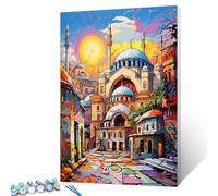 Tucocoo Graffiti Hagia Sophia Paint by Numbers Kits with Brushes and Acrylic Pigment on Canvas Painting for Adults, Building at Sunset Picture for Home Wall Decor Gifts 16''x20'' (DIY Framed)