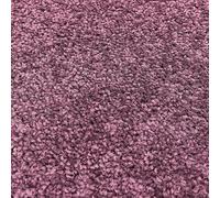 Tuda Carpets | Imperial 6.5mm Pile Budget Carpet with Felt Backing, 8.5mm Total Height | Deep Mulberry (45) - 4m x 2m (13ft1" x 6ft6")
