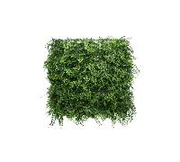 Tuda Fern Hedge - Artificial Living Wall - 50x50cm Fern Hedge - Artificial Living Wall - 50x50cm