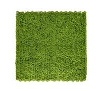 Tuda Grass Direct 3D Artificial Moss Living Wall Panel - 100x100cm - Lime Green