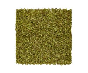 Tuda Grass Direct 3D Artificial Moss Living Wall Panel - 100x100cm - Moss/Olive Green