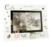 Tudor Photo Moments Cat Photo Frame, Glass/Mirror, 4 x 6