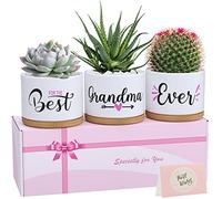 TuDou Grandma Gifts from Grandchildren, Christmas Birthday Gifts for Grandmother from Granddaughter Grandson, Best Grandma Ever Succulent Pots Gifts for Grandma 50th, 60th,70th Birthday Mother's Day