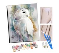 TUDOUTU Paint by Numbers The Colorful Splendor of The Snowy Owl Kits for Beginners Adults DIY Art Decor Hand Painted Painting by Numbers Creative Gift Home Decoration 16x20 inch with Frame