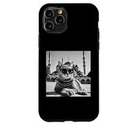Türkiye Cat At The Blue Mosque And Sultan Ahmed Mosque Case for iPhone 11 Pro