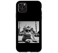 Türkiye Cat At The Blue Mosque And Sultan Ahmed Mosque Case for iPhone 11 Pro Max