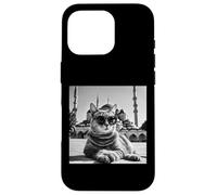 Türkiye Cat At The Blue Mosque And Sultan Ahmed Mosque Case for iPhone 16 Pro