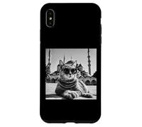 Türkiye Cat At The Blue Mosque And Sultan Ahmed Mosque Case for iPhone XS Max